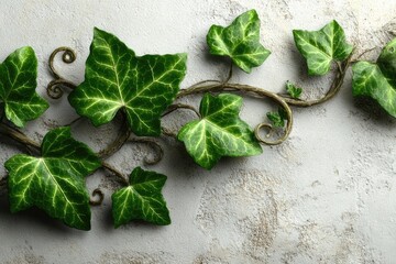 Ivy climbing decorative metal vine against textured wall