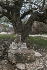 Steinerner Brunnen an einem Baum