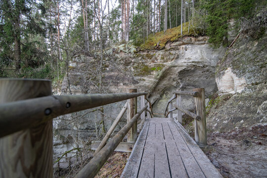 wooden bridge in the forest - Powered by Adobe