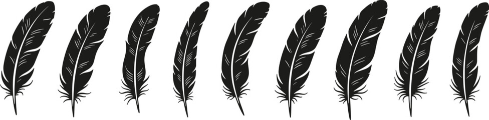 Elegant black feather silhouette collection featuring various bird plume shapes for bohemian decor, tribal art designs, writing quill symbols, and nature-inspired graphics. © MstBabli
