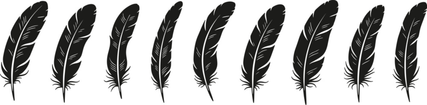 Elegant black feather silhouette collection featuring various bird plume shapes for bohemian decor, tribal art designs, writing quill symbols, and nature-inspired graphics.