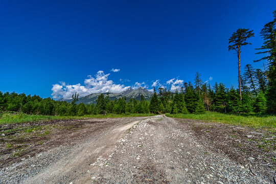 A wide gravel path leading towards the high peaks of the Tatra Mountains under a clear blue sky. The gateway to Kezmarska dolina near Biela voda, surrounded by young forest and pine trees. Slovakia. - Powered by Adobe