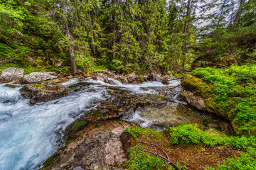A powerful mountain stream rushing over rocks in a lush green coniferous forest. Crystal clear water and sun-drenched trees in the Tatra National Park, Slovakia.