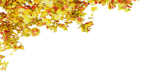 Autumn Leaves Cluster in Upper Left Corner on White Background