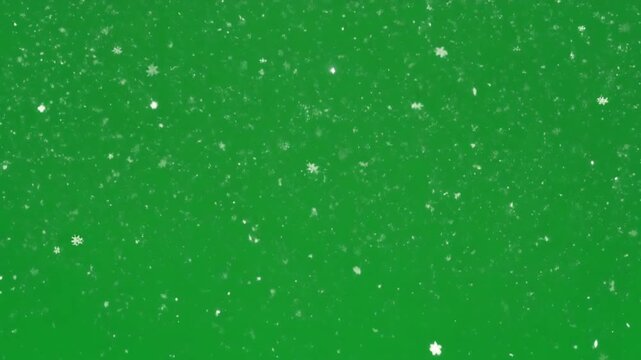 Green textured background with white specks and a white lower section