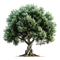 Lush, digitally rendered olive tree with textured bark, dense foliage, and black background