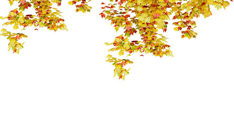 Autumn Leaves Hanging from Tree Branches on White Background