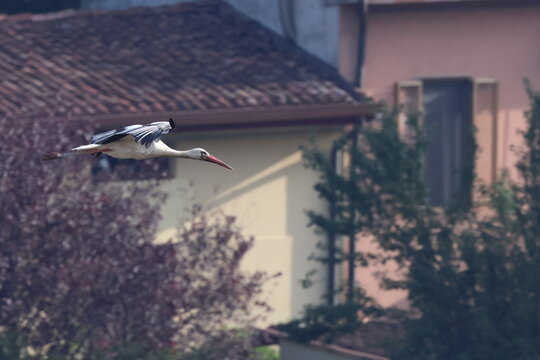 volo fra le case