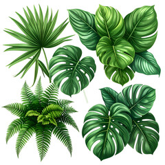 Assortment of detailed, vibrant green tropical plant leaves isolated on a black background