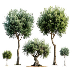 Rendered trees of various sizes with full, leafy canopies, set against a black backdrop