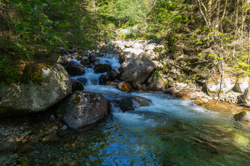 Obraz premium A clear mountain stream flowing over large mossy boulders in a sunlit forest. Captured in the High Tatras National Park, Slovakia, showcasing the pristine wilderness and natural water flow.