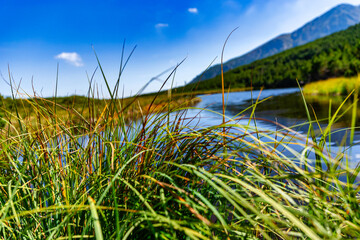 A peaceful view of Trojrohe pleso in the High Tatras. The crystal blue water reflects the sky,...