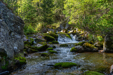 A close-up view of a clear mountain creek flowing over moss-covered stones. Surrounded by lush green vegetation in the Tatra National Park, Slovakia. © Ivan