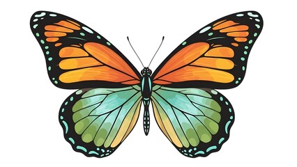 Fototapeta premium Colorful Butterfly Vector Illustration with Orange and Green Wings