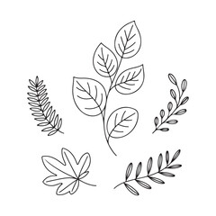 Fototapeta premium Hand Drawn Botanical Leaves Vector Set