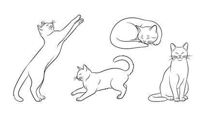 A cute set of isolated black and white cartoon vector illustrations featuring a happy dog and cat, puppy silhouettes, and various mammal drawings like a wolf and lion in nature art style