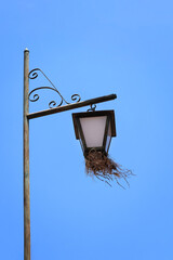 Bird Nest Inside Street Lamp against Blue Sky