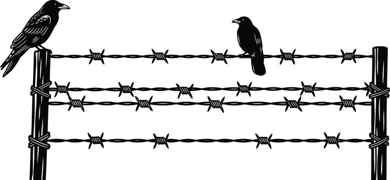 Two black crows perched on a barbed wire fence
