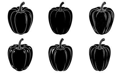 Five Black Pepper on White Background vegetable food