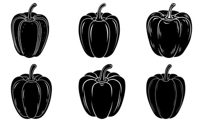 Five black pepper on white background vegetable