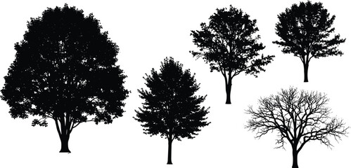 Five Detailed Tree Silhouette Vector Set, Lush Foliage and Bare Winter Tree Outline Collection, Nature Landscape Black Graphic
