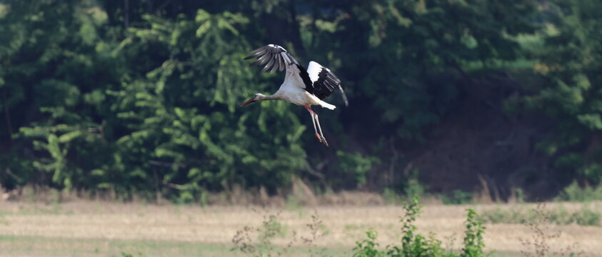 volo in campagna