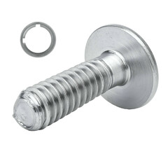 A close-up of a silver screw with a wide flat head and a separate circular washer