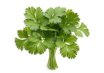 Team effort drives success