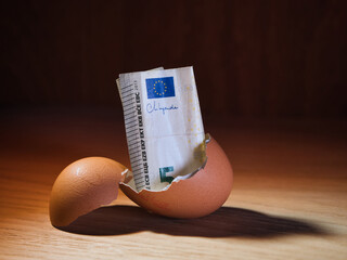 Financial Growth: Euro from Eggshell - A five Euro banknote emerges from a cracked eggshell on a wooden surface with dramatic lighting, symbolizing financial growth, savings, and investment.
