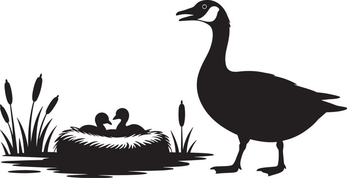 Canada goose watching over gosling chicks in nest silhouette on pond background with cattails