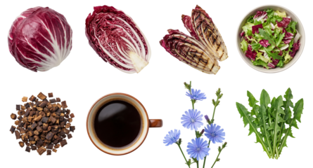 set of fresh radicchio in different forms, whole, grilled and as salad isolated on a transparent background