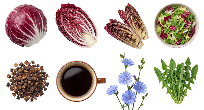 set of fresh radicchio in different forms, whole, grilled and as salad isolated on a transparent background