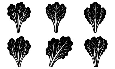 Six black chard leaf silhouettes on a transparent background black and white vegetable
