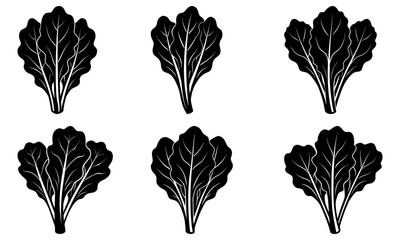 Six black and white leaf silhouettes on a transparent background leaves plant