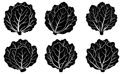 Six black cabbage leaf silhouettes on white background leaves vegetable