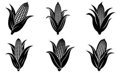 Six black and white corn cobs with husks on a white background
