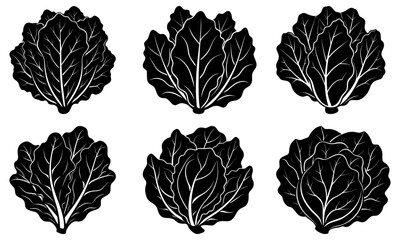 Six Black Leaf Silhouettes on White Background leaves plant