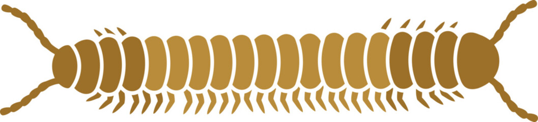 Detailed Brown Centipede or Millipede Insect Vector Illustration on White Background