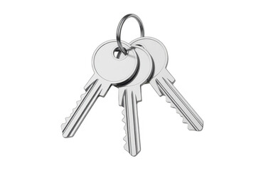Two metal keys on a keyring isolated on a transparent background
