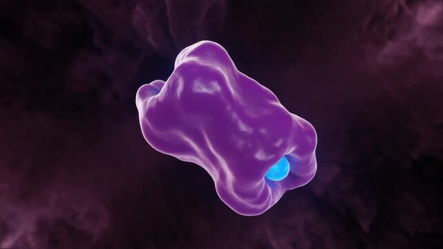 3D Animation of Rhodopsin Photobleaching and 3D Vision