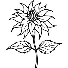  bee balm petite wonder line art flower