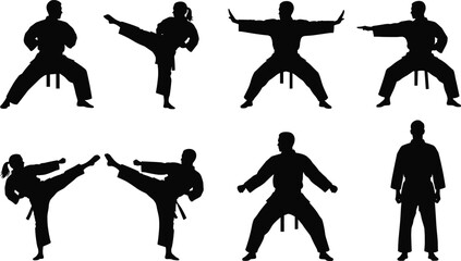 Collection of eight martial arts silhouettes including karate and taekwondo fighters in various kicking and striking poses for vector design © astroDev