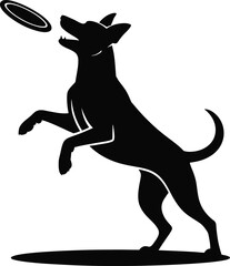 Energetic Dog Jumping To Catch Flying Disc