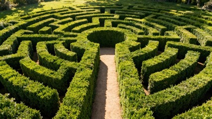 Circular labyrinth formed by meticulously trimmed green hedges and winding dirt paths under bright sunlight.