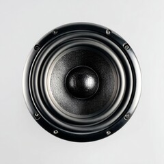  High-Fidelity Sound Reproduction with Bass Driver and Smooth Metallic Finish for Loudspeaker Audio Engineering.