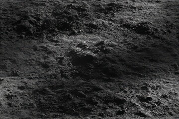 Lunar Surface: A stark and textured close-up of the lunar surface, revealing a rugged terrain of shadowed craters and fine dust, offering a glimpse into another world.