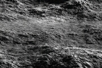 Textured Terrain: A captivating monochrome close-up of a rugged terrain, showcasing intricate textures and subtle shadows that bring the earth's natural beauty to life.