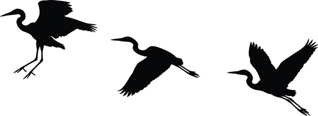 Fototapeta premium Flying heron bird silhouettes set, elegant crane wildlife poses, nature water birds in flight, isolated black vector