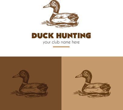 Duck logo in a hand-drawn vintage style, sketched vector illustration of mallard bird