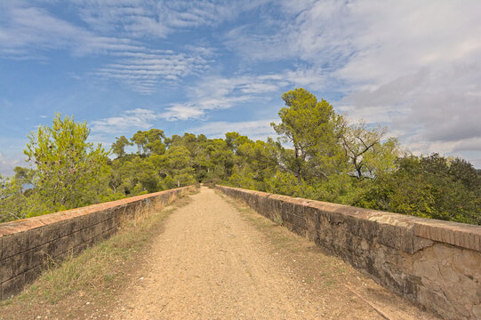 Road over Can Ribes viaduct with green trees on the side in Sierra de Collserola near Barcelona, Catalonia, Spain 